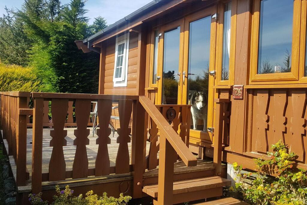 Cabin Apartment Trawsfynydd Ngoại thất bức ảnh