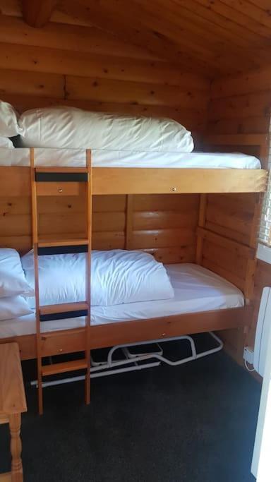 Cabin Apartment Trawsfynydd Ngoại thất bức ảnh