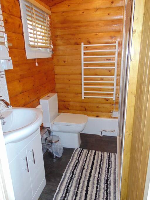 Cabin Apartment Trawsfynydd Ngoại thất bức ảnh
